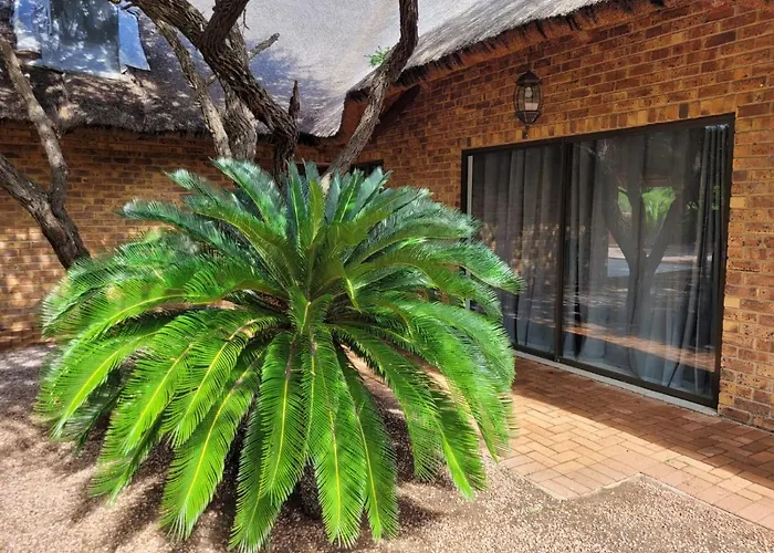 Makhato Bush Lodge 48